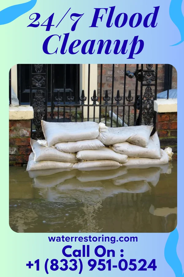 24/7 Flood Cleanup in Pleak, TX