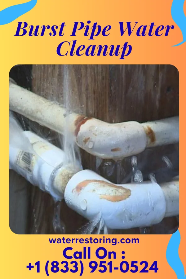 Burst Pipe Water Cleanup in Pleak, TX