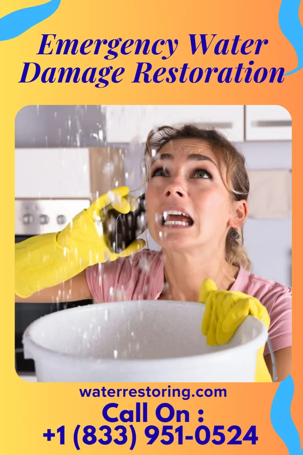 Emergency Water Damage Restoration in Pleak, TX