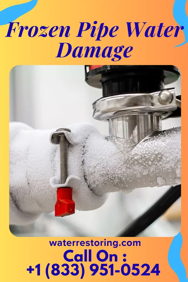 Frozen Pipe Water Damage in Pleak, TX
