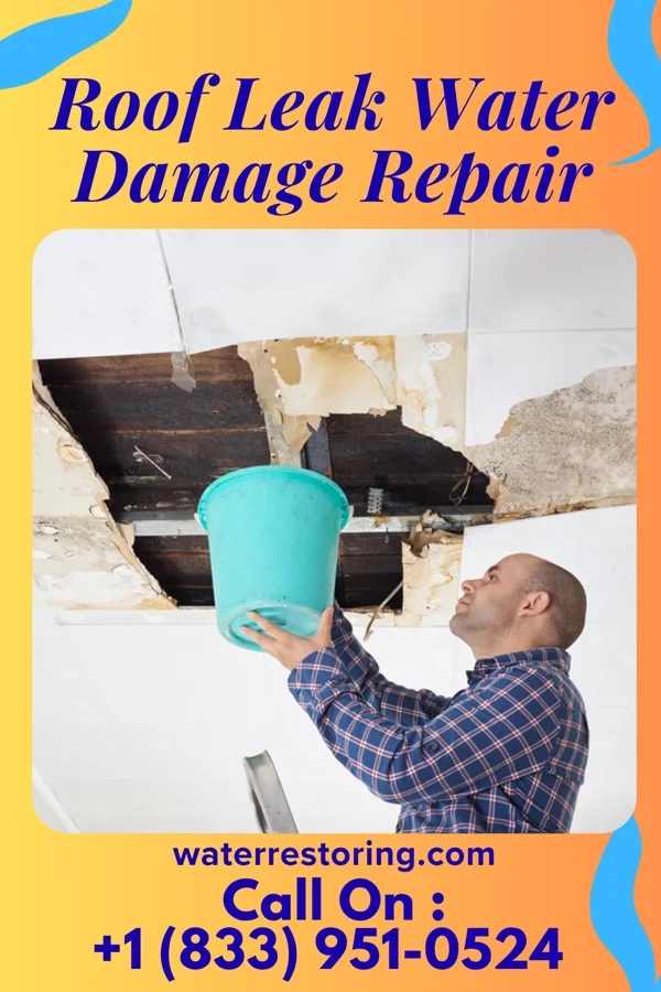 Roof Leak Water Damage Repair in Pleak, TX