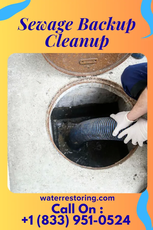 Sewage Backup Cleanup in Pleak, TX